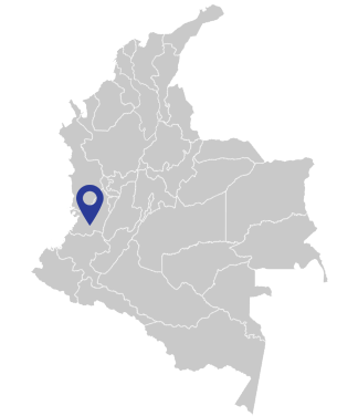 mapa 31 valle cauca